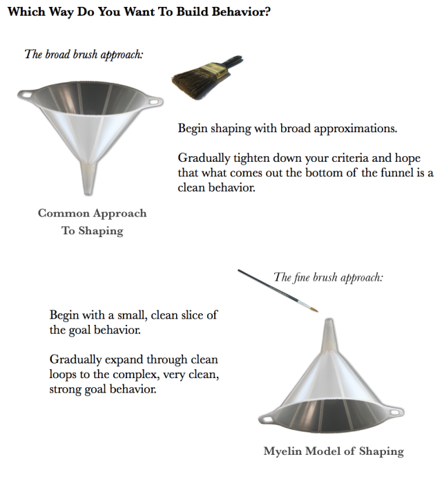 funnel images of shaping