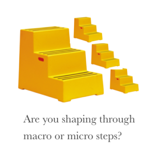 steps macro micro
