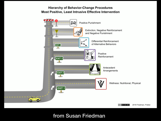 Dr. Susan Friedman's Hierarchy of interventions